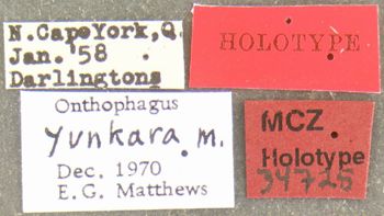 Media type: image;   Entomology 34725 Aspect: labels